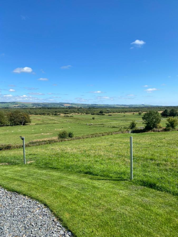 Craigend Farm Pods - The Woolly Sheep